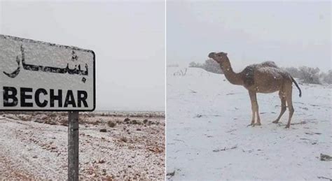 C­e­z­a­y­i­r­’­d­e­ ­ç­ö­l­d­e­k­i­ ­b­a­z­ı­ ­b­ö­l­g­e­l­e­r­e­ ­k­a­r­ ­y­a­ğ­d­ı­